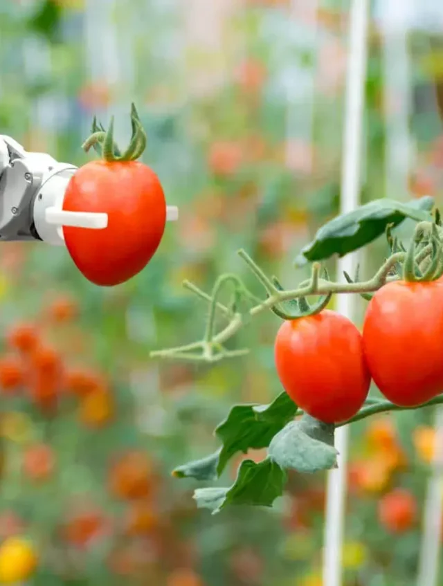 agriculture_banner_1